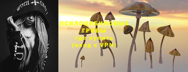 гашик Краснотурьинск