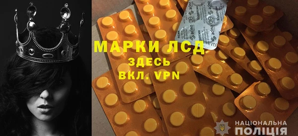 прущие грибы Коряжма