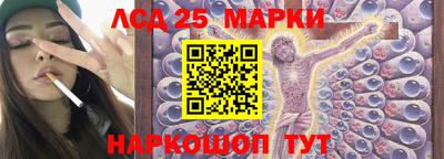 гидропоника Заволжье
