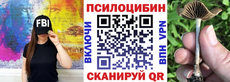 купить закладку  Мелеуз  Псилоцибиновые грибы Psilocybe 
