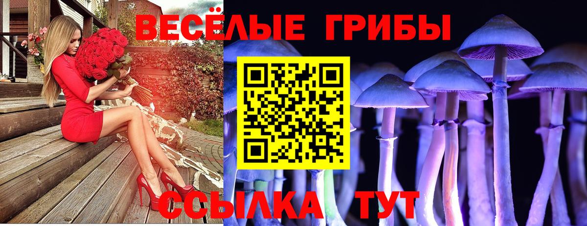 Галлюциногенные грибы Psilocybe Мелеуз