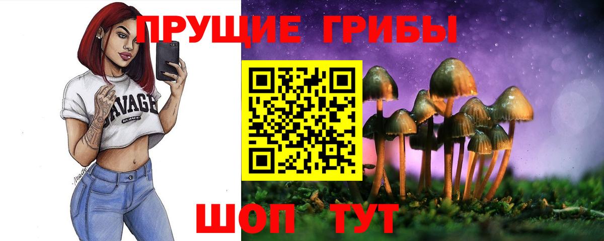 Галлюциногенные грибы Psilocybe  Вход с VPN  Мелеуз 